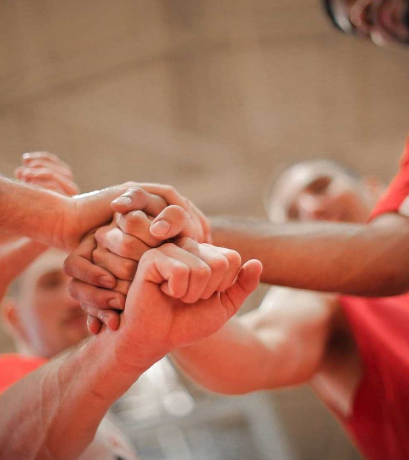 NEMO oferta współpracy fot. nr 9